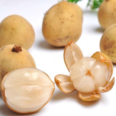 广州江南批发直发【顺丰】泰国进口龙宫果爱情果龙贡果稀有水果