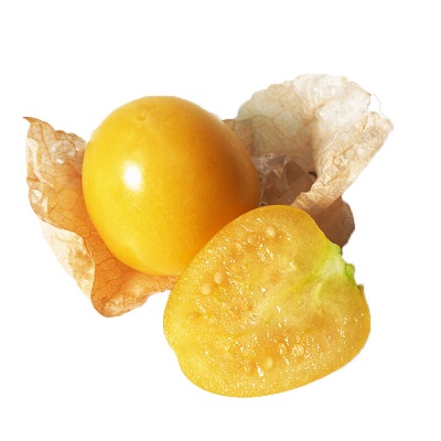 广州江南批发直发【顺丰】云南菇娘果新鲜灯笼果菇凉果当季水果