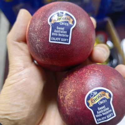 广州江南批发直发（顺丰）澳洲白肉油桃高端礼盒装脆甜特级