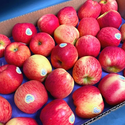广州江南批发直发【顺丰】美国进口神仙果苹果Ambrosia美国脆