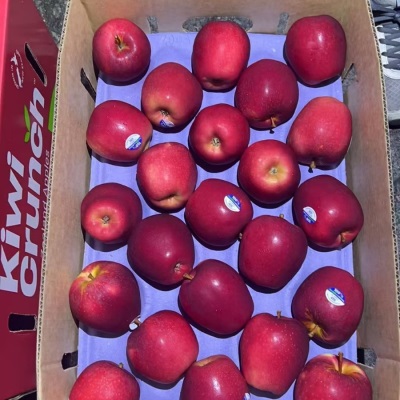 新西兰皇后苹果NZ Queen 红玫瑰苹果4122