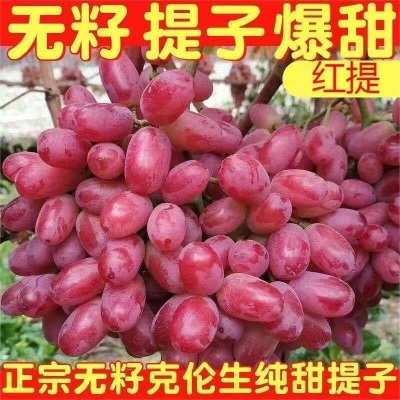 无籽红提克伦生提子葡萄5斤净重新鲜水果整串紫提子孕妇小孩水果