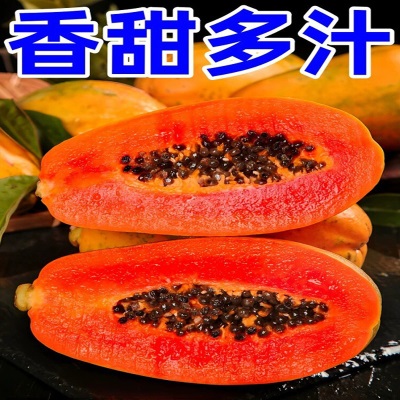 广西红心水果木瓜新鲜下孕妇水果牛奶树上熟冰糖酸青木瓜海南云南