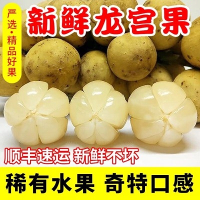 广州江南批发直发【顺丰】泰国进口龙宫果爱情果龙贡果稀有水果