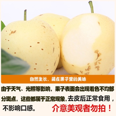 整箱皇冠梨河北斤斤代发雪梨当季砀山梨3梨子10新鲜水果酥梨非5斤
