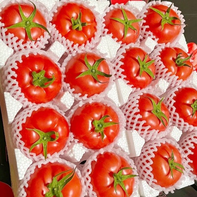 普罗旺斯沙瓤西红柿5斤当季新鲜水果老品种可生吃番茄露天自然熟