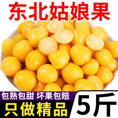 包邮灯笼果东北菇娘孕妇姑娘果新鲜红整箱黄3菇娘甜洋斤5当季水果