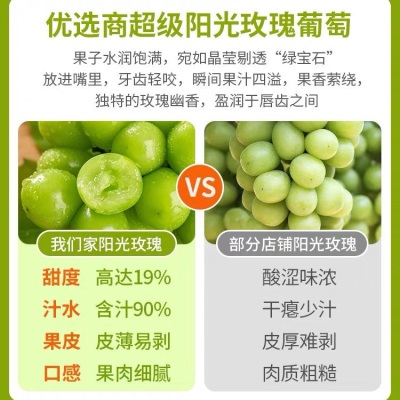 阳光玫瑰葡萄新鲜水果晴王提子青提大果整串国产整箱批发