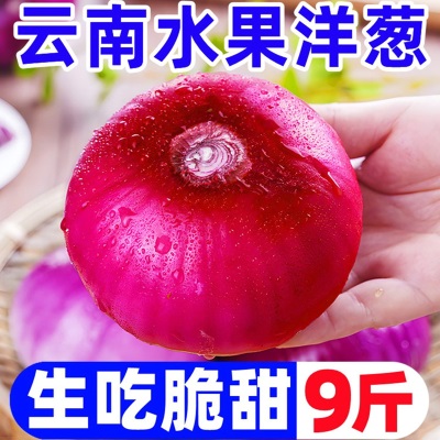 云南紫皮水果大洋葱9斤新鲜小洋葱甜味生吃蔬菜不辣红皮大圆葱头