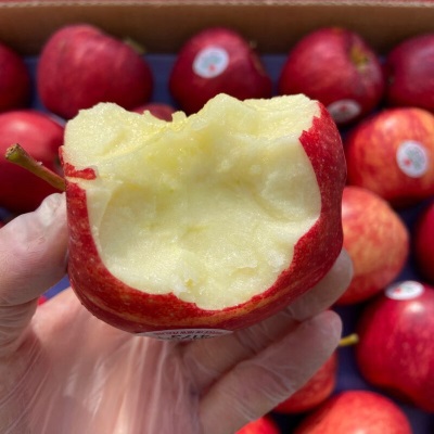 广州江南批发【顺丰】美国进口嘎啦果加力果royalGala苹果