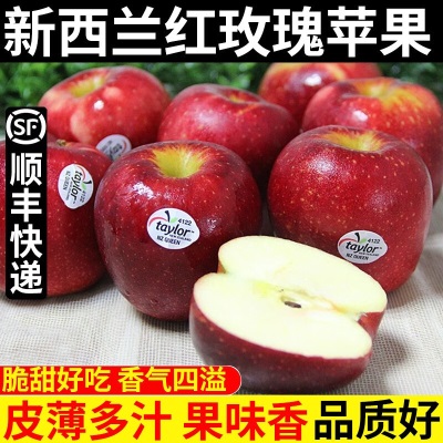 广州江南批发直发【顺丰】新西兰太平洋红玫瑰苹果NZQUEEN4122脆