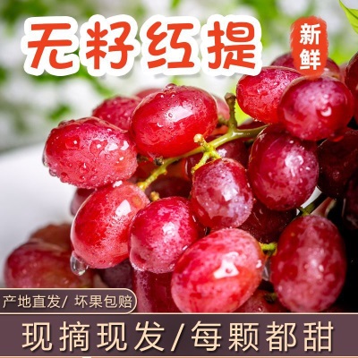 【现摘现发】克伦生无籽红提葡萄脆甜多汁无核红提子孕妇新鲜水果