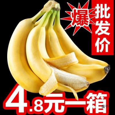 香蕉批发薄皮新鲜整箱当季包邮香蕉新鲜水果