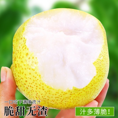 热卖安徽砀山酥梨10斤梨子新鲜水果应当季整箱包邮特产香梨脆