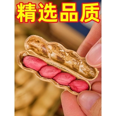 四粒红带壳红皮花生5斤2026新货新鲜干花生米红衣农家自种生花生