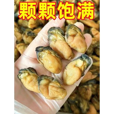 广西北海淡晒生蚝干海鲜干货大号海蛎子牡蛎干蚝豉肉海产品特产
