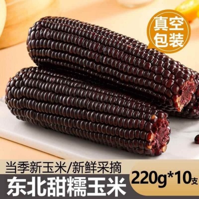 【10根整箱】东北黑糯玉米独立真空装黏甜糯玉米紫玉米减健身代餐