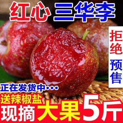 新鲜广东正宗三华李应当季新鲜酸甜脆特大果李子孕妇水果整箱包邮