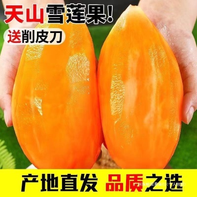 2025云南高原仙果当季新鲜水果天山雪莲现发挖果现脆甜雪中雪莲果