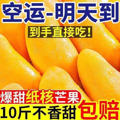 海南金煌芒新鲜水仙芒果斤装整箱薄皮当季孕妇水果果园直发包邮