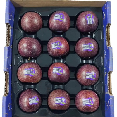 广州江南批发直发【顺丰】智利进口血丝李凤凰李红肉李子香甜可口