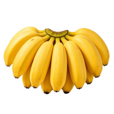 正宗广西小米蕉9斤香蕉新鲜水果整箱小香蕉自然熟苹果粉蕉包邮