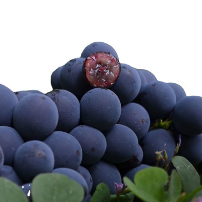 葡萄现摘云南建水夏黑无籽黑蜜整串装新鲜水果非巨峰黑加仑速卖通