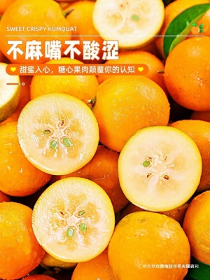 融安小包邮蜜斤当季水果脆皮橘子新鲜金桔纯甜孕妇金柑整箱10广西