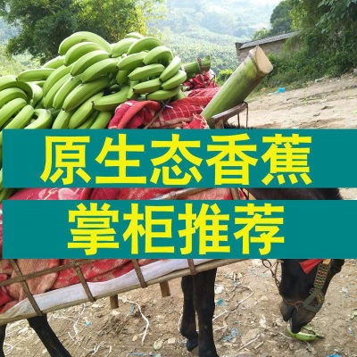 香蕉批发薄皮新鲜整箱当季包邮香蕉新鲜水果