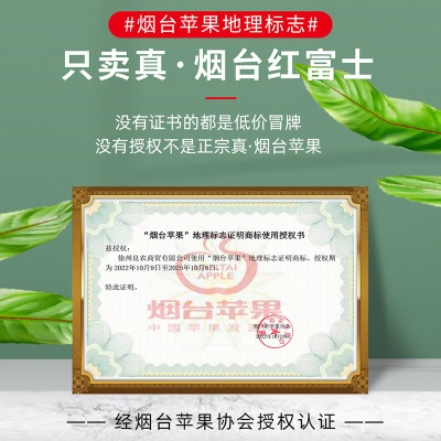 烟台红富士苹果10应当季斤新鲜水果整箱山东栖霞脆甜冰糖心丑平果