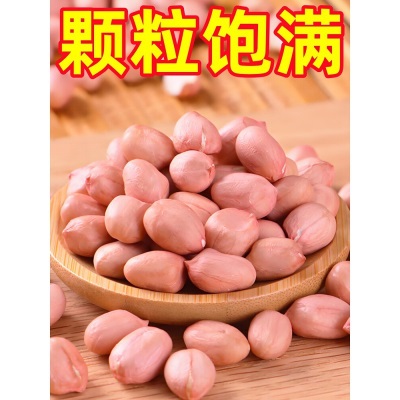 2026今年新货白沙农家生花生米生的粉红皮新鲜下酒菜不带壳生花生