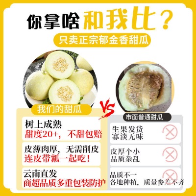 现货2026年山东蜜罐小蜜蜂冰糖脆甜瓜新鲜水果当季时令香瓜甜多汁