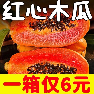爆甜红心木瓜新鲜孕妇水果批发牛奶冰糖心木瓜树上熟正宗大果包邮