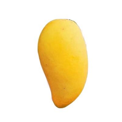 海南金煌芒新鲜水仙芒果斤装整箱薄皮当季孕妇水果果园直发包邮