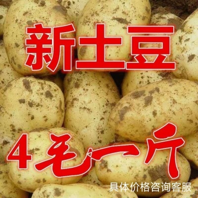 土豆低价包邮批发5斤挖白皮优质蔬菜马铃薯白心农家自种现挖新鲜