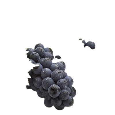 葡萄现摘云南建水夏黑无籽黑蜜整串装新鲜水果非巨峰黑加仑速卖通
