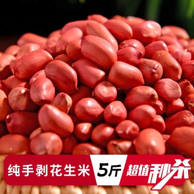 四粒红带壳红皮花生5斤2026新货新鲜干花生米红衣农家自种生花生