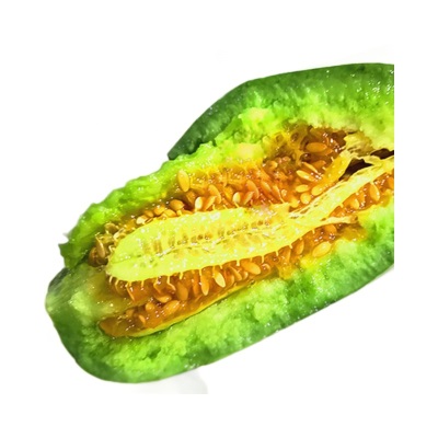 新鲜羊角蜜甜瓜现摘博洋蜜瓜香瓜一件代发现货松脆薄皮脆瓜水果