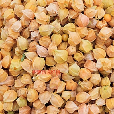 包邮灯笼果东北菇娘孕妇姑娘果新鲜红整箱黄3菇娘甜洋斤5当季水果