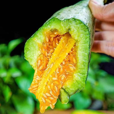 薄皮当季蜜瓜甜瓜脆甜密水果爆甜新鲜整箱包邮无山东蜜瓜羊角端正