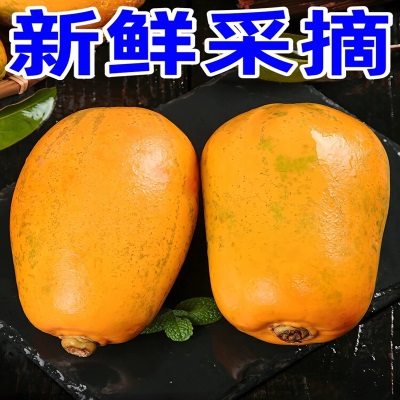 广西红心水果木瓜新鲜下孕妇水果牛奶树上熟冰糖酸青木瓜海南云南