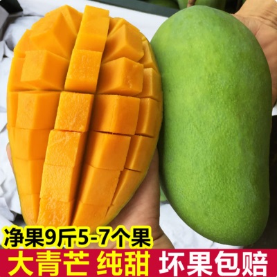 越南品种大青芒果新鲜当季现摘特大整箱青皮水果芒果仓库直发