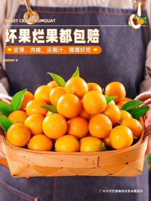 融安小包邮蜜斤当季水果脆皮橘子新鲜金桔纯甜孕妇金柑整箱10广西