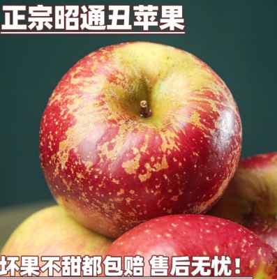2025云南昭通丑苹果新鲜昭通市冰糖心丑苹果红富士孕妇水果当季