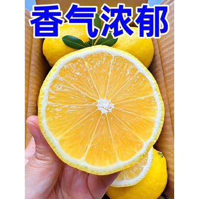 四川安岳黄柠檬新鲜9斤鲜果香水柠檬商用榨汁批发奶茶店专用大果