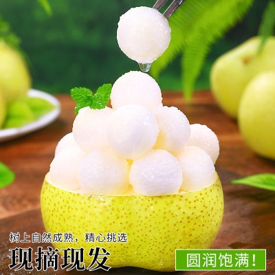 热卖安徽砀山酥梨10斤梨子新鲜水果应当季整箱包邮特产香梨脆