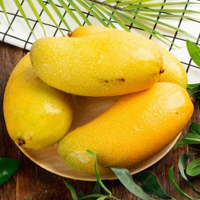 金煌芒海南新鲜当季热带水果水仙芒黄皮大芒果现摘一件代发