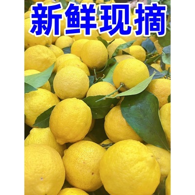 四川安岳黄柠檬新鲜9斤鲜果香水柠檬商用榨汁批发奶茶店专用大果