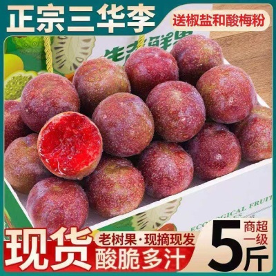新鲜广东正宗三华李应当季新鲜酸甜脆特大果李子孕妇水果整箱包邮