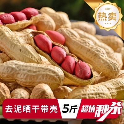 四粒红带壳红皮花生5斤2026新货新鲜干花生米红衣农家自种生花生